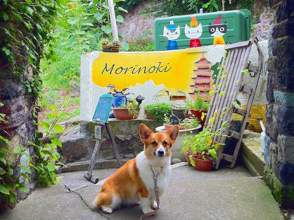 The Otaornai Backpacker'S Hostel Morinoki Отару Экстерьер фото